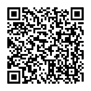 Téléchargements 23 qrcode-Brochure-manifeste-pour-les-droits-de-la-nature-PR