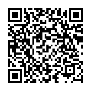 Téléchargements 19 qrcode-Questionnaire-Stfe-PR