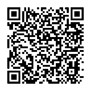 Téléchargements 9 qrcode brochure manifeste droits nature