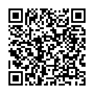 Téléchargements 5 qrcode questionnaire stfe dl